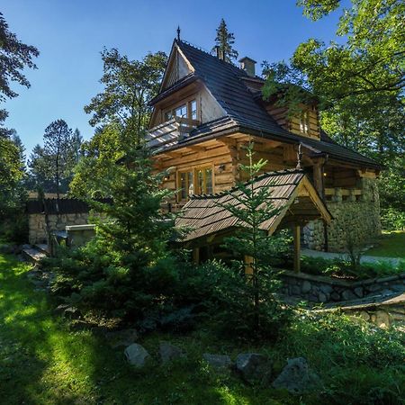 Dom Crocus Villa Zakopane Exterior photo